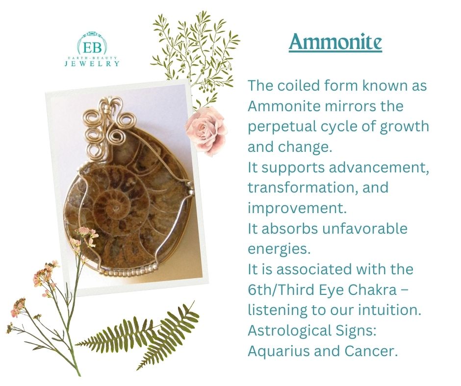 Ammonite