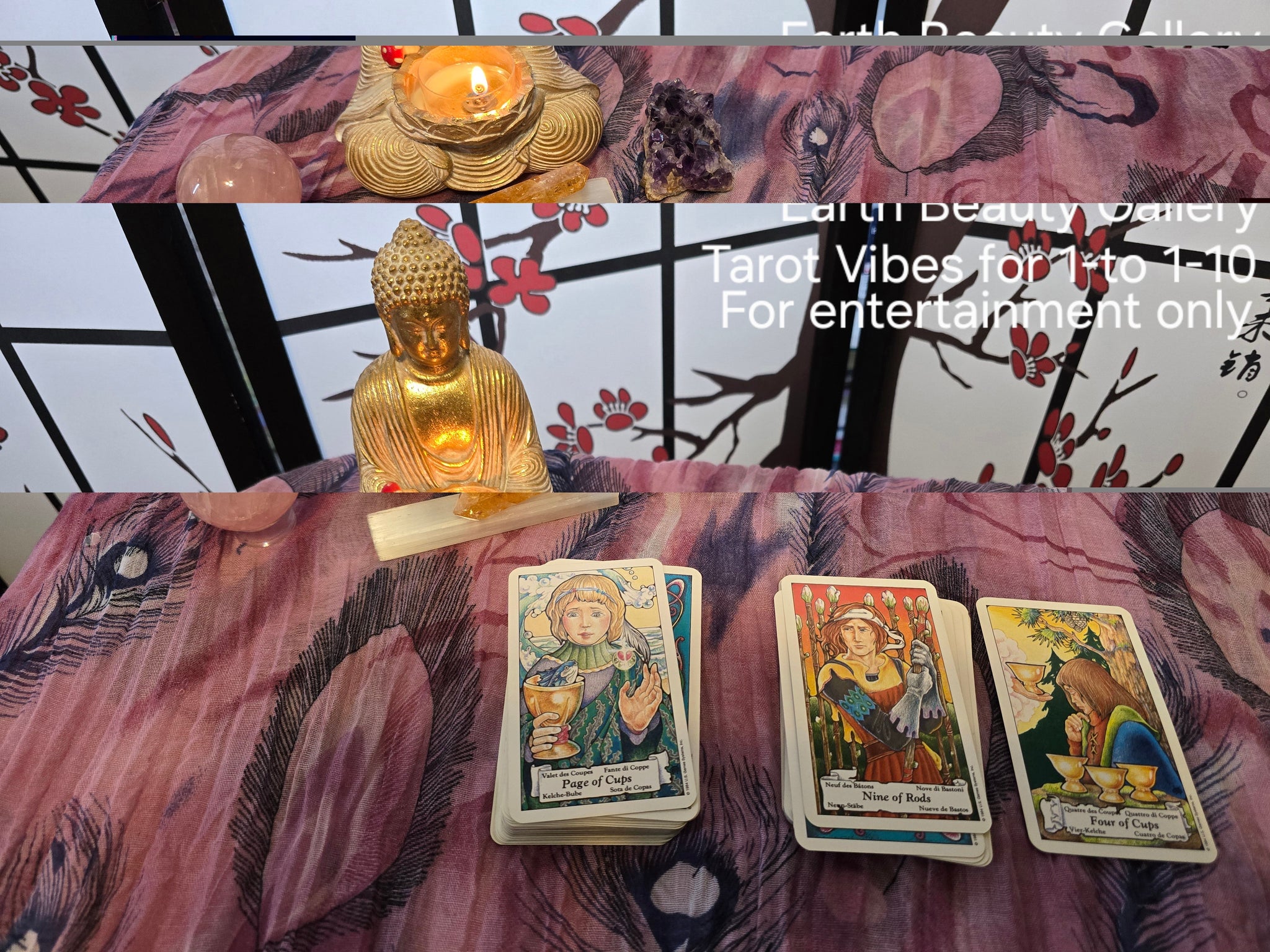 Tarot Vibes for 1-4-2026 to 1-10-2026