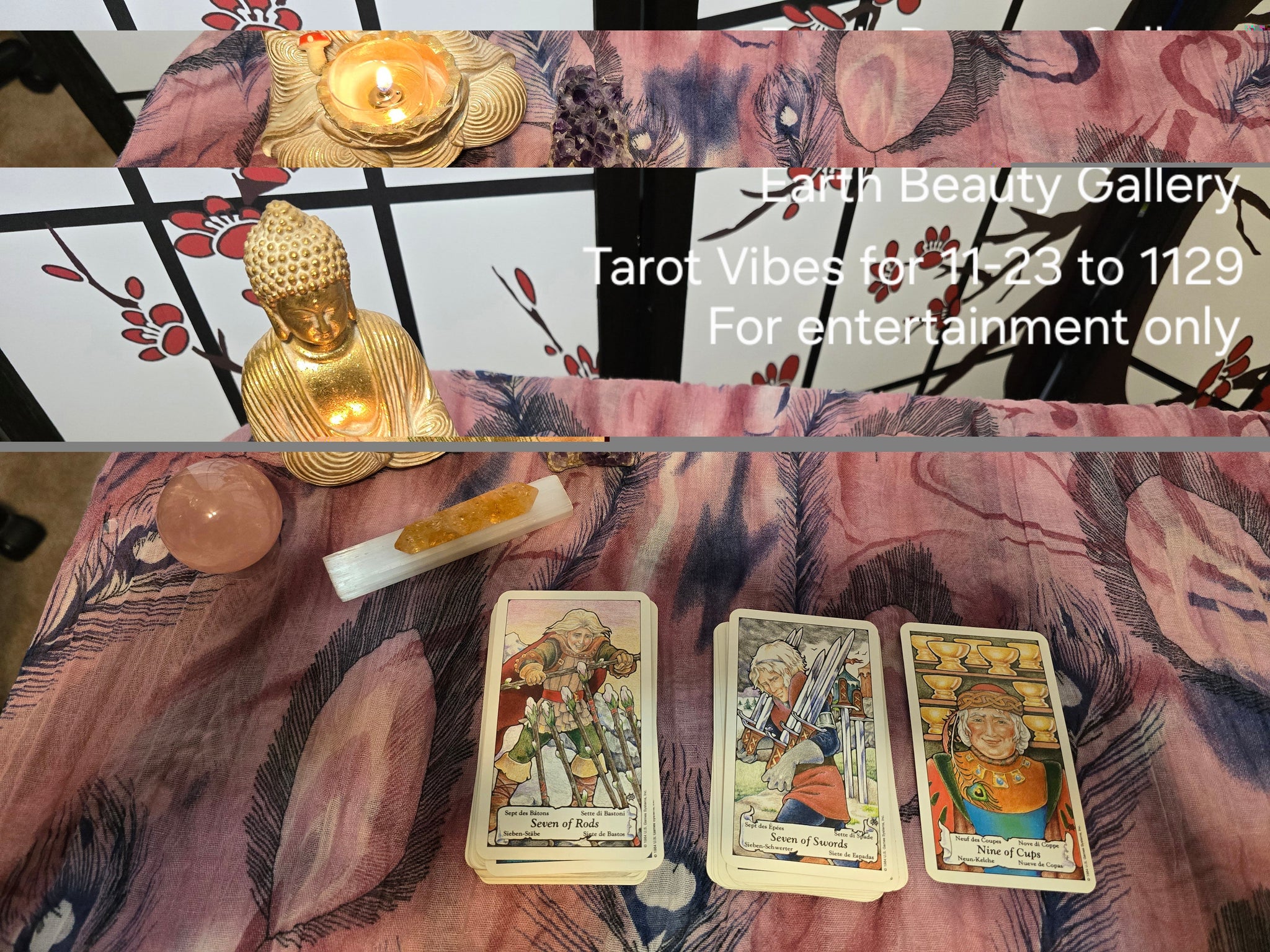 Tarot Vibes for 11-23 to 11-29