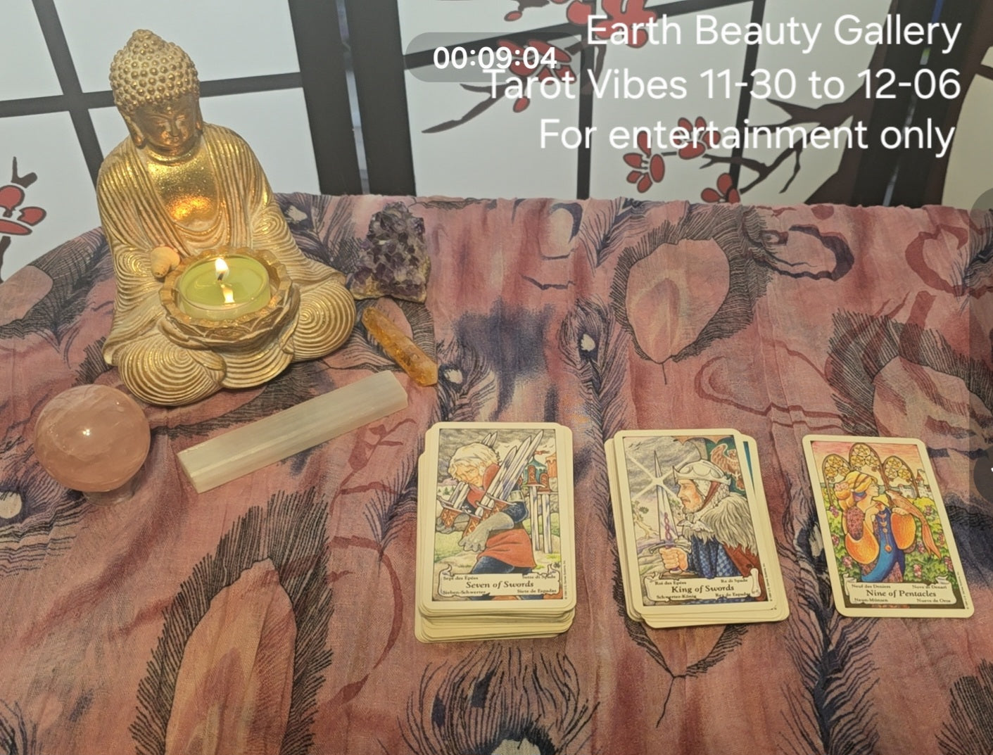 Tarot Vibes for 11-30 to 12-06