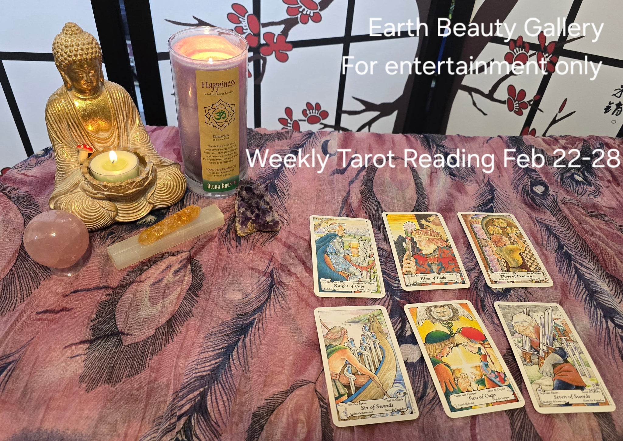 Weekly Tarot Reading Feb 22-28